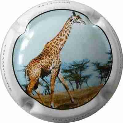 N°01 Série de 6 (Girafe)
Image Yves STEFANI
