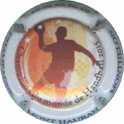 N°021 Championnat du Monde de Hand
Photo Nicolas PY

