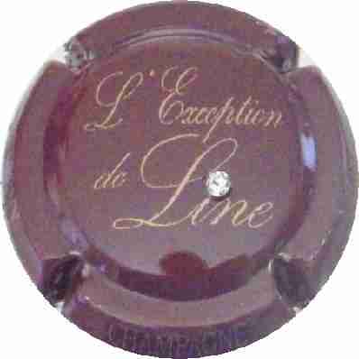 N°21 Marron et or, avec strass
Photo Samy Joe
