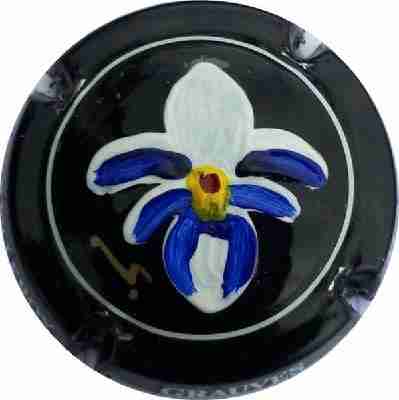 N° 24c Orchidée bleue
Image Yves STEFANI
Mots-clés: PALM