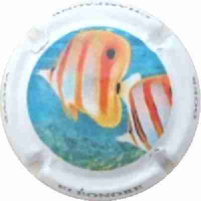 N°28 Série Corail 1 sur 5
Photo J.R.
