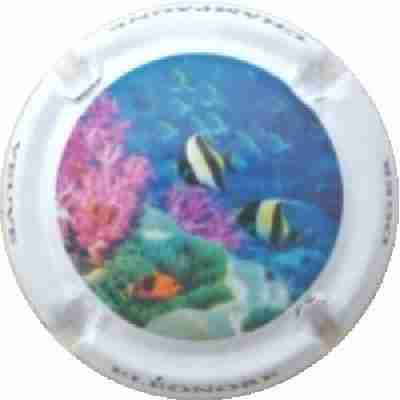 N°28 Série Corail 2 sur 5
Photo J.R.
