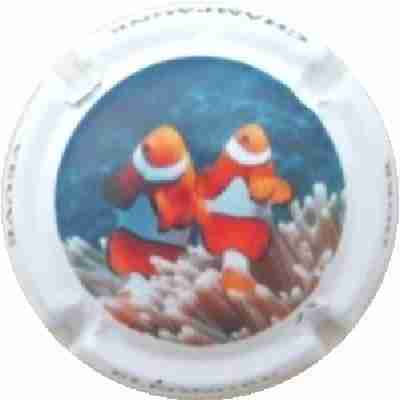 N°28 Série Corail 3 sur 5
Photo J.R.
