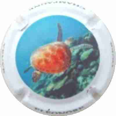 N°28 Série Corail 4 sur 5
Photo J.R.
