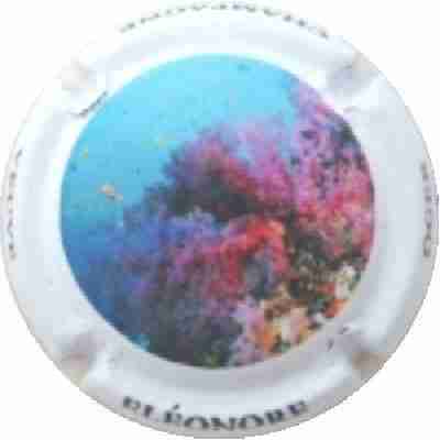 N°28 Série Corail 5 sur 5
Photo J.R.
