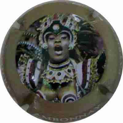 N°02 Contour vert-gris
Image Yves STEFANI
Mots-clés: Carnaval de Rio