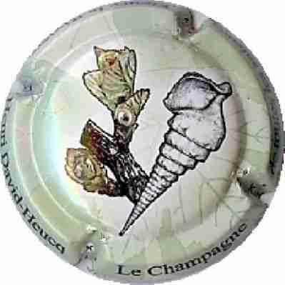 N°038a Coquillage
Image Yves STEFANI
