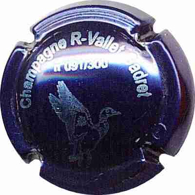 N°03 Canard, bleu métallisé
Image Yves STEFANI
