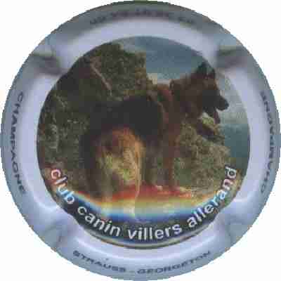 N°04 1 berger allemand. Club Canin Villers Allerand
Image Yves STEFANI
