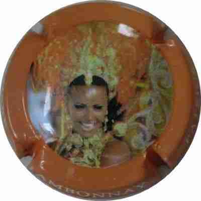 N°04 Contour orange
Image Yves STEFANI
Mots-clés: Carnaval de Rio