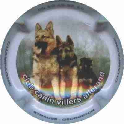 N°04.a 2 bergers allemands. Club Canin Villers Allerand
Image Yves STEFANI
