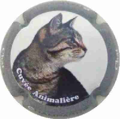 N°0759i Contour gris, Chat
Photo J.R.
