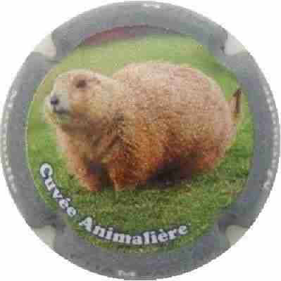 N°0759l Contour gris, Marmotte
Photo J.R.
