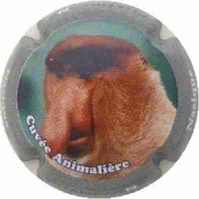 N°0759p Contour gris, Nasique
Photo J.R.
