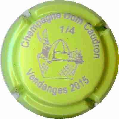 N°03 2015 1/4 Vert-jaune et argent, vendanges
Image Yves STEFANI
