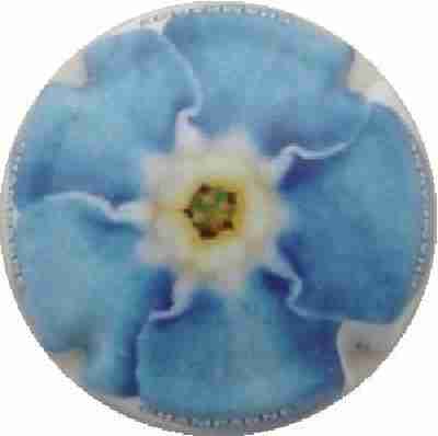 C52 Fleurs, 06/12
Photo J.R.
