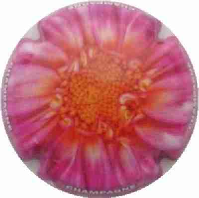 C52 Fleurs, 05/12
Photo J.R.
