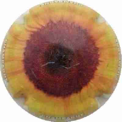 C52 Fleurs, 04/12
Photo J.R.
