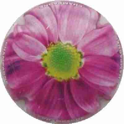 C52 Fleurs, 03/12
Photo J.R.
