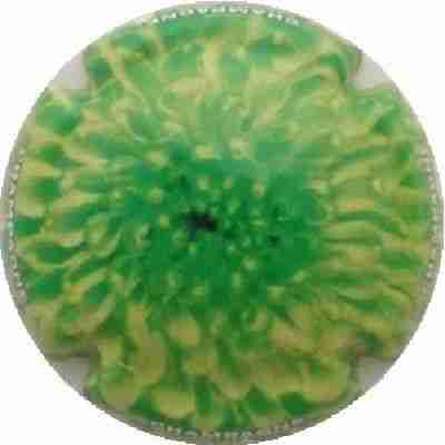 C52 Fleurs, 02/12
Photo J.R.
