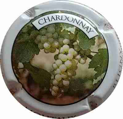 N°09d Contour blanc, Chardonnay
Photo Maryvonne TIRIAU
