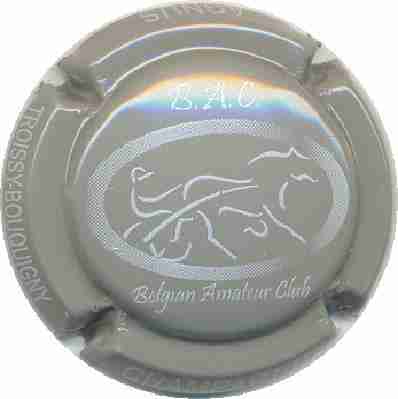 N°09g Gris et blanc
Image Yves STEFANI
