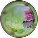Nom du fichier=LB_12_5_28Zen29.jpg
Taille du fichier=37Ko
Dimensions : 400x400
Ajouté le : 04 Juin 2016 LB_12_5_28Zen29.jpg
