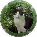 Nom du fichier=LB_14_Contour_vert_28Chat29.jpg
Taille du fichier=33Ko
Dimensions : 399x400
Ajouté le : 30 Septembre 2015 LB_14_Contour_vert_28Chat29.jpg