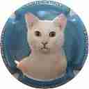 Nom du fichier=LB_14_c_Contour_bleu_28Chat29.jpg
Taille du fichier=22Ko
Dimensions : 400x400
Ajouté le : 30 Septembre 2015 LB_14_c_Contour_bleu_28Chat29.jpg