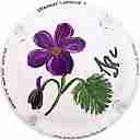 Nom du fichier=LB_15_Fleurs2C_6_sur_6.jpg
Taille du fichier=21Ko
Dimensions : 400x400
Ajouté le : 30 Juillet 2017 LB_15_Fleurs2C_6_sur_6.jpg