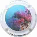 Nom du fichier=LB_29_d_NR_Corail_5_sur_5.jpg
Taille du fichier=16Ko
Dimensions : 400x400
Ajouté le : 11 Septembre 2017 LB_29_d_NR_Corail_5_sur_5.jpg