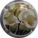 Nom du fichier=LB_34_NR_Arum_28Calla29.jpg
Taille du fichier=17Ko
Dimensions : 400x400
Ajouté le : 04 Juin 2016 LB_34_NR_Arum_28Calla29.jpg