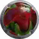 Nom du fichier=LB_34_a_NR_Arum_28Calla29.jpg
Taille du fichier=17Ko
Dimensions : 400x400
Ajouté le : 04 Juin 2016 LB_34_a_NR_Arum_28Calla29.jpg