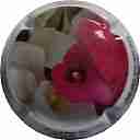 Nom du fichier=LB_34_d_NR_Arum_28Calla29.jpg
Taille du fichier=16Ko
Dimensions : 400x400
Ajouté le : 04 Juin 2016 LB_34_d_NR_Arum_28Calla29.jpg