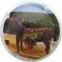 Nom du fichier=LB_72_d_NR_5_sur_6_Le_Cheval.jpg
Taille du fichier=19Ko
Dimensions : 400x400
Ajouté le : 05 Septembre 2016 LB_72_d_NR_5_sur_6_Le_Cheval.jpg
