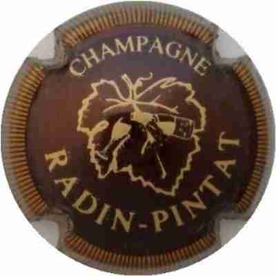 N°01 Série de 6 (feuilles), marron et or, striée
Photo J.R.
