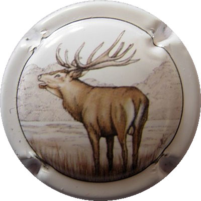 N°057 Cerf
Photo HENRI ESP
