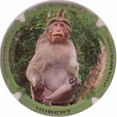 N°04 Série de 6 (singes)
Photo SIMONNOT Jean-Joseph
