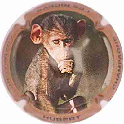 N°04 Série de 6 (singes)
Photo SIMONNOT Jean-Joseph
