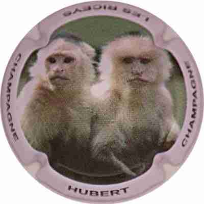 N°04 Série de 6 (singes)
Photo SIMONNOT Jean-Joseph
