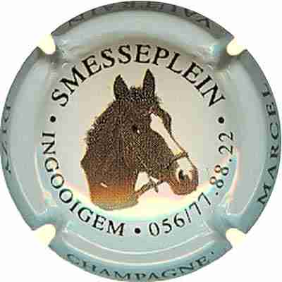 N°043 Smesseplein, cheval
Photo SIMONNOT Jean-Joseph
