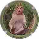 Nom du fichier=IMG_7688.jpg
Taille du fichier=28Ko
Dimensions : 400x400
Ajouté le : 04 Novembre 2014 IMG_7688.jpg