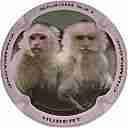 Nom du fichier=IMG_7691.jpg
Taille du fichier=28Ko
Dimensions : 400x400
Ajouté le : 04 Novembre 2014 IMG_7691.jpg