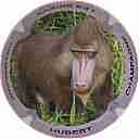 Nom du fichier=IMG_7692.jpg
Taille du fichier=29Ko
Dimensions : 400x400
Ajouté le : 04 Novembre 2014 IMG_7692.jpg