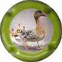 Nom du fichier=LB-14-Contour-vert-28Canard29.jpg
Taille du fichier=31Ko
Dimensions : 400x400
Ajouté le : 22 Novembre 2014 LB-14-Contour-vert-28Canard29.jpg