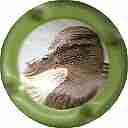 Nom du fichier=LB-14-e-Contour-vert-28Canard29.jpg
Taille du fichier=25Ko
Dimensions : 400x400
Ajouté le : 22 Novembre 2014 LB-14-e-Contour-vert-28Canard29.jpg