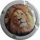 Nom du fichier=LB-19b-lion.jpg
Taille du fichier=27Ko
Dimensions : 400x400
Ajouté le : 16 Novembre 2014 LB-19b-lion.jpg