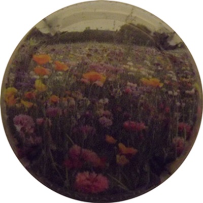 N°0922c
Photo René COSSEMENT
