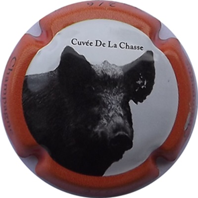 N°0756a Contour orange, sanglier
Photo René COSSEMENT
Mots-clés: NR