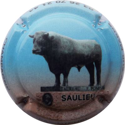 N°22e Saulieu, Taureau
Photo René COSSEMENT
